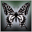 batterfly.jpg